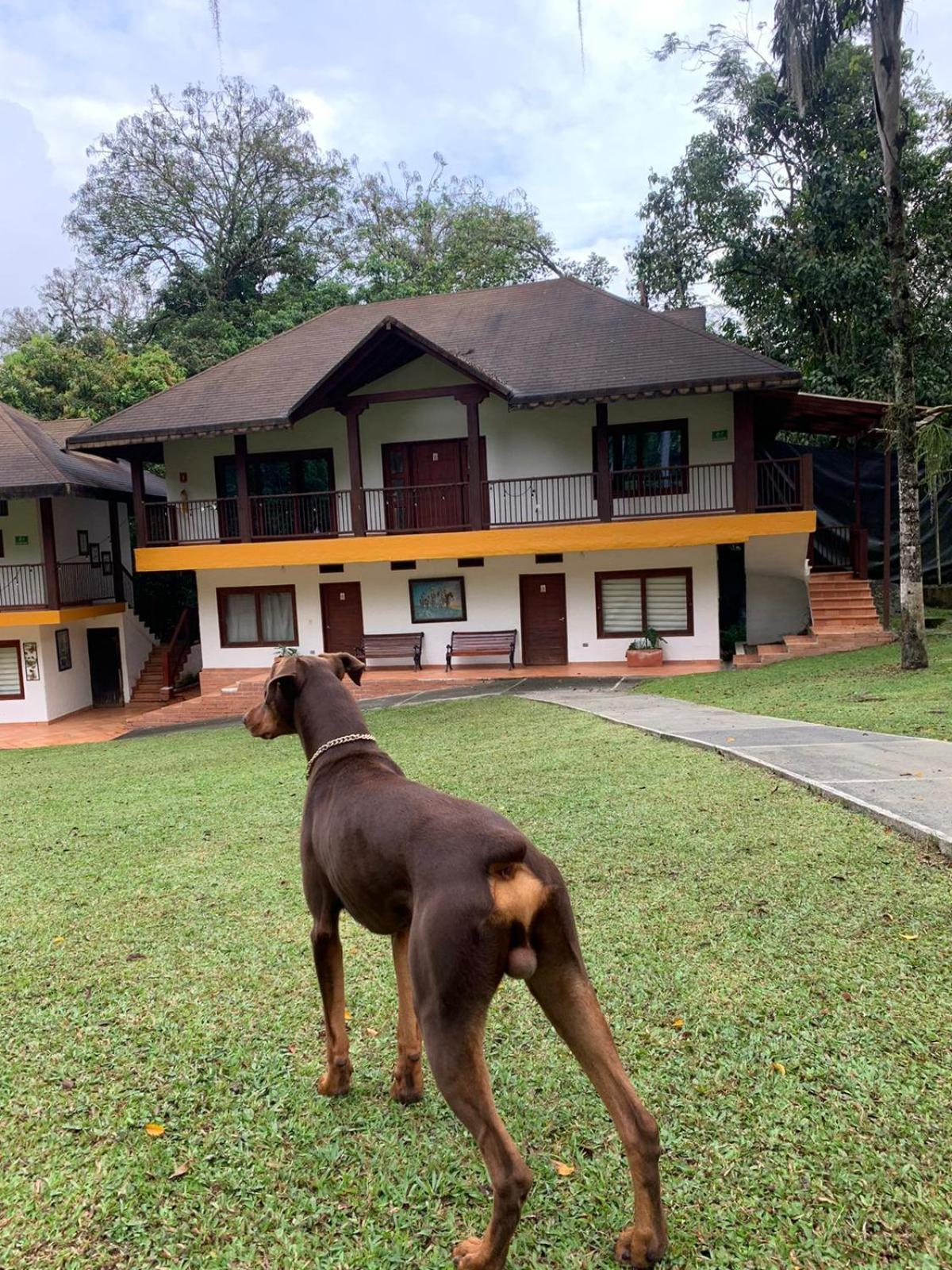 Finca Hotel La Consentida Escondida Сан-Херонимо Экстерьер фото